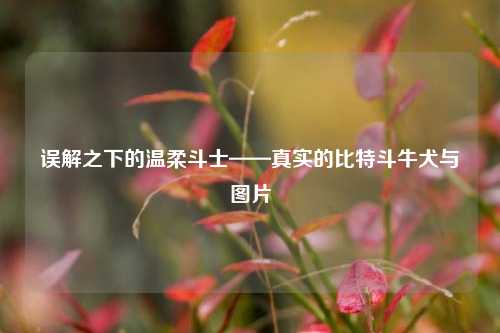 误解之下的温柔斗士——真实的比特斗牛犬与图片