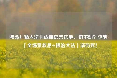 救命!输入法卡成单语言选手、切不动?这套「全场景救急+根治大法」请码死!