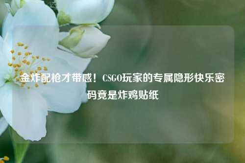 金炸配枪才带感！CSGO玩家的专属隐形快乐密码竟是炸鸡贴纸