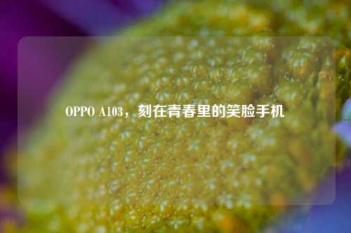 OPPO A103,刻在青春里的笑脸手机