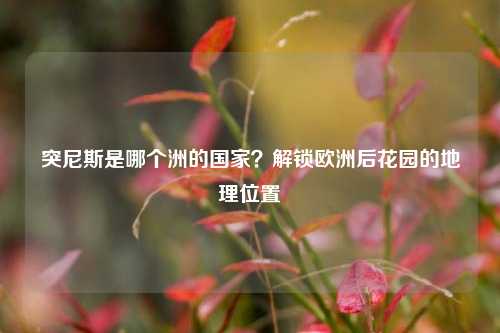 突尼斯是哪个洲的国家?解锁欧洲后花园的地理位置