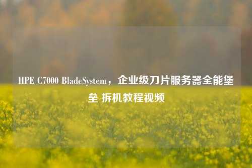 HPE C7000 BladeSystem,企业级刀片服务器全能堡垒 拆机教程视频
