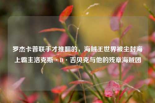 罗杰卡普联手才推翻的,海贼王世界被尘封海上霸主洛克斯·D·吉贝克与他的残章海贼团