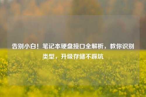 告别小白!笔记本硬盘接口全解析,教你识别类型,升级存储不踩坑