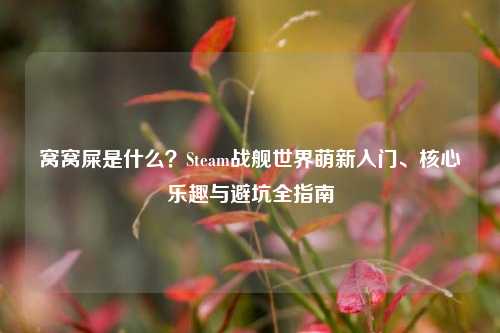窝窝屎是什么?Steam战舰世界萌新入门、核心乐趣与避坑全指南