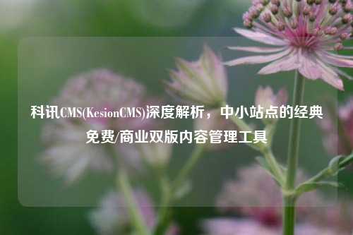 科讯CMS(KesionCMS)深度解析,中小站点的经典免费/商业双版内容管理工具
