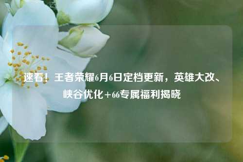 速看!王者荣耀6月6日定档更新,英雄大改、峡谷优化+66专属福利揭晓