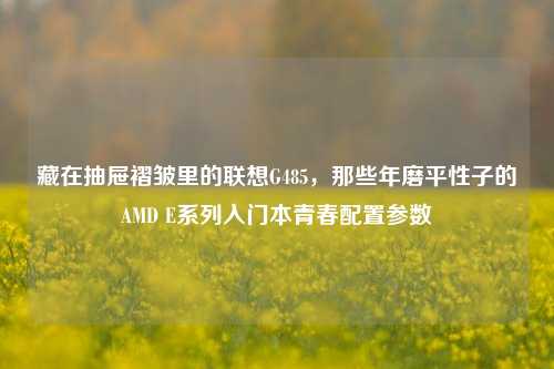 藏在抽屉褶皱里的联想G485,那些年磨平性子的AMD E系列入门本青春配置参数