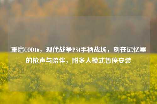 重启COD16,现代战争PS4手柄战场,刻在记忆里的枪声与陪伴,附多人模式暂停安装