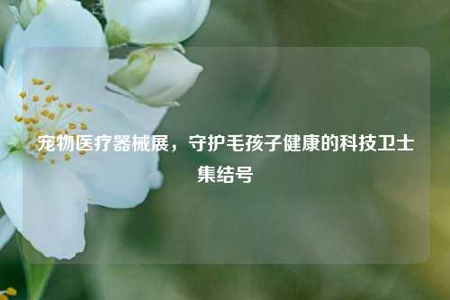 宠物医疗器械展，守护毛孩子健康的科技卫士集结号