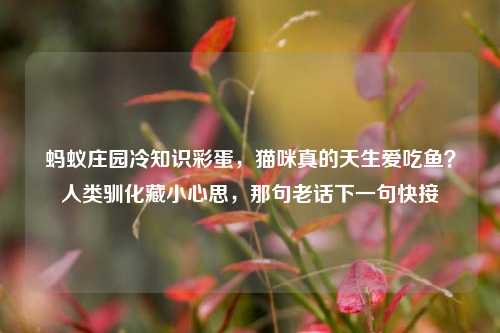 蚂蚁庄园冷知识彩蛋,猫咪真的天生爱吃鱼?人类驯化藏小心思,那句老话下一句快接