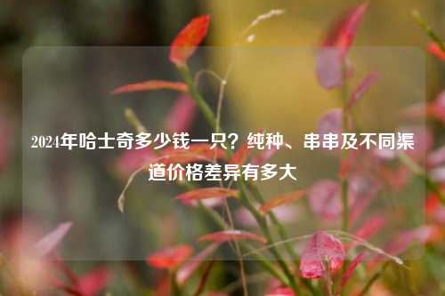 2024年哈士奇多少钱一只？纯种、串串及不同渠道价格差异有多大
