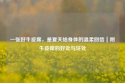 一张好牛皮席,是夏天给身体的温柔回信|附牛皮席的好处与坏处
