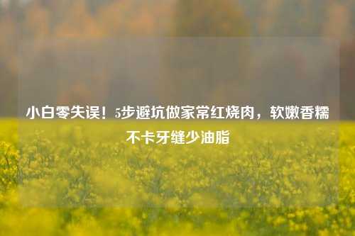 小白零失误!5步避坑做家常红烧肉,软嫩香糯不卡牙缝少油脂