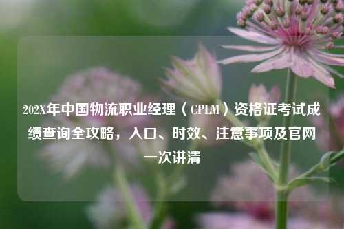 202X年中国物流职业经理(CPLM)资格证考试成绩查询全攻略,入口、时效、注意事项及官网一次讲清