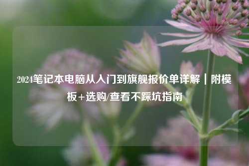 2024笔记本电脑从入门到旗舰报价单详解｜附模板+选购/查看不踩坑指南