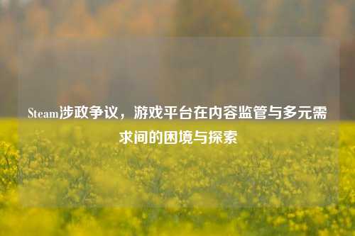 Steam涉政争议,游戏平台在内容监管与多元需求间的困境与探索