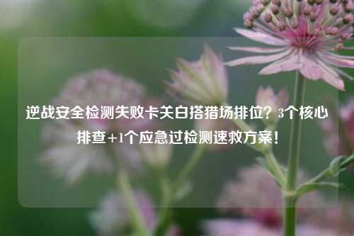 逆战安全检测失败卡关白搭猎场排位？3个核心排查+1个应急过检测速救方案！