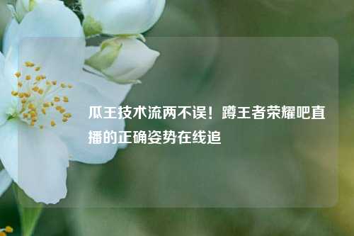 🔥瓜王技术流两不误!蹲王者荣耀吧直播的正确姿势在线追🎮