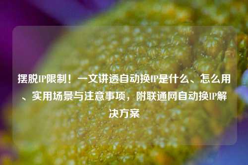 摆脱IP限制!一文讲透自动换IP是什么、怎么用、实用场景与注意事项,附联通网自动换IP解决方案