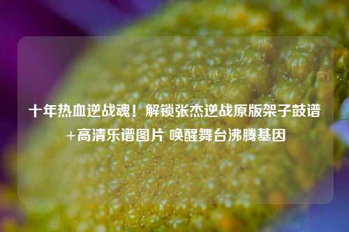 十年热血逆战魂!解锁张杰逆战原版架子鼓谱+高清乐谱图片 唤醒舞台沸腾基因