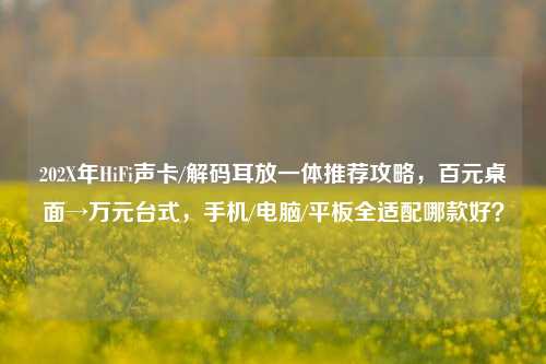 202X年HiFi声卡/解码耳放一体推荐攻略,百元桌面→万元台式,手机/电脑/平板全适配哪款好?
