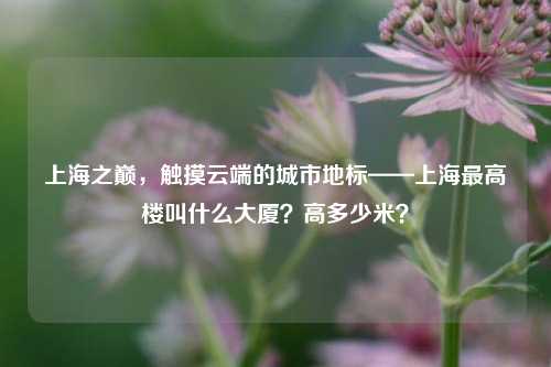 上海之巅,触摸云端的城市地标——上海最高楼叫什么大厦?高多少米?