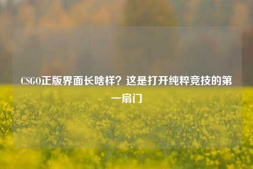 CSGO正版界面长啥样？这是打开纯粹竞技的第一扇门