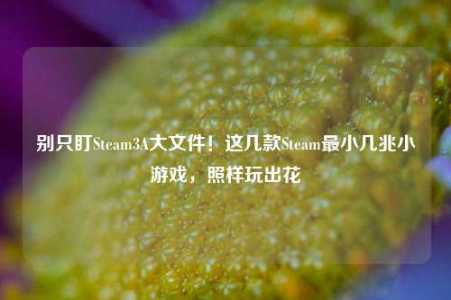 别只盯Steam3A大文件!这几款Steam最小几兆小游戏,照样玩出花