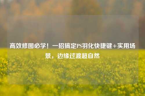高效修图必学!一招搞定PS羽化快捷键+实用场景,边缘过渡超自然