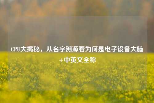 CPU大揭秘,从名字溯源看为何是电子设备大脑+中英文全称
