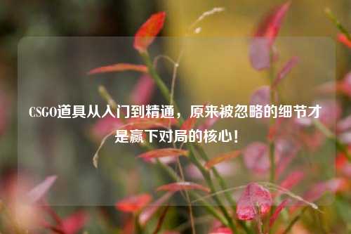 CSGO道具从入门到精通,原来被忽略的细节才是赢下对局的核心!