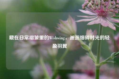 藏在日常褶皱里的Wishwing，邂逅细碎时光的轻盈羽翼