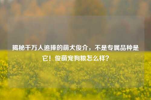 揭秘千万人追捧的萌犬俊介,不是专属品种是它!俊萌宠狗粮怎么样?