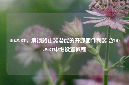 DD-WRT，解锁路由器潜能的开源固件利器 含DD-WRT中继设置教程