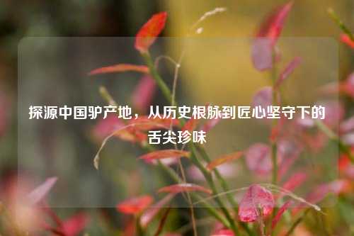 探源中国驴产地,从历史根脉到匠心坚守下的舌尖珍味
