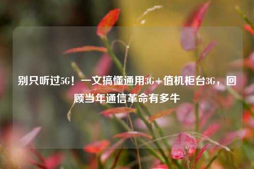 别只听过5G!一文搞懂通用3G+值机柜台3G,回顾当年通信革命有多牛