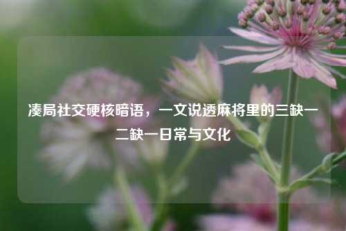 凑局社交硬核暗语，一文说透麻将里的三缺一二缺一日常与文化