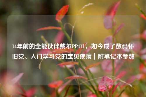14年前的全能伙伴戴尔PP41L,如今成了数码怀旧党、入门学习党的宝贝疙瘩|附笔记本参数
