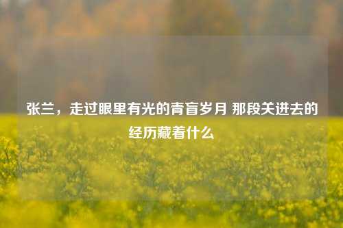 张兰，走过眼里有光的青盲岁月 那段关进去的经历藏着什么