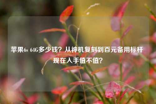 苹果6s 64G多少钱?从神机复刻到百元备用标杆 现在入手值不值?