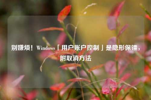 别嫌烦!Windows「用户账户控制」是隐形保镖,附取消方法