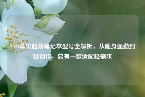 2024苹果超薄笔记本型号全解析,从随身通勤到轻创作,总有一款适配轻需求