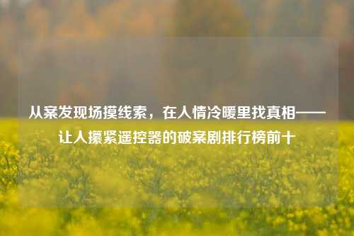 从案发现场摸线索,在人情冷暖里找真相——让人攥紧遥控器的破案剧排行榜前十