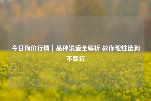 今日狗价行情|品种渠道全解析 教你理性选狗不踩坑