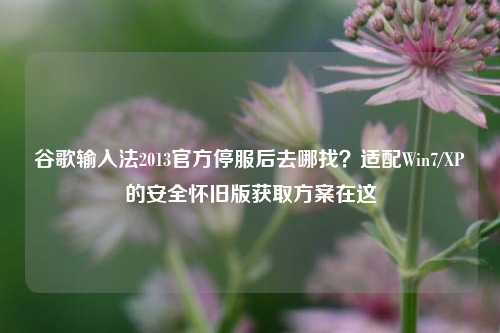 谷歌输入法2013官方停服后去哪找?适配Win7/XP的安全怀旧版获取方案在这