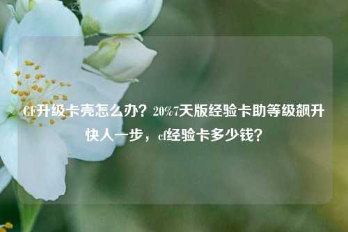 CF升级卡壳怎么办?20%7天版经验卡助等级飙升快人一步,cf经验卡多少钱?