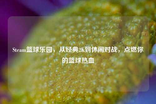 Steam篮球乐园,从经典2K到休闲对战,点燃你的篮球热血