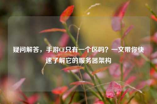 疑问解答，手游CF只有一个区吗？一文带你快速了解它的服务器架构