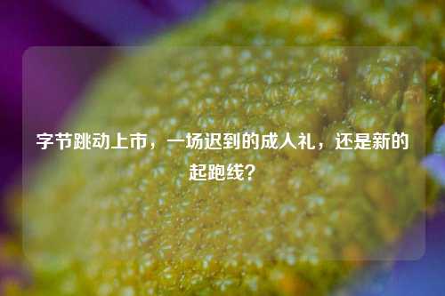 字节跳动上市,一场迟到的成人礼,还是新的起跑线?